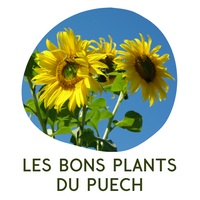 Foire aux plants Foire aux plants
