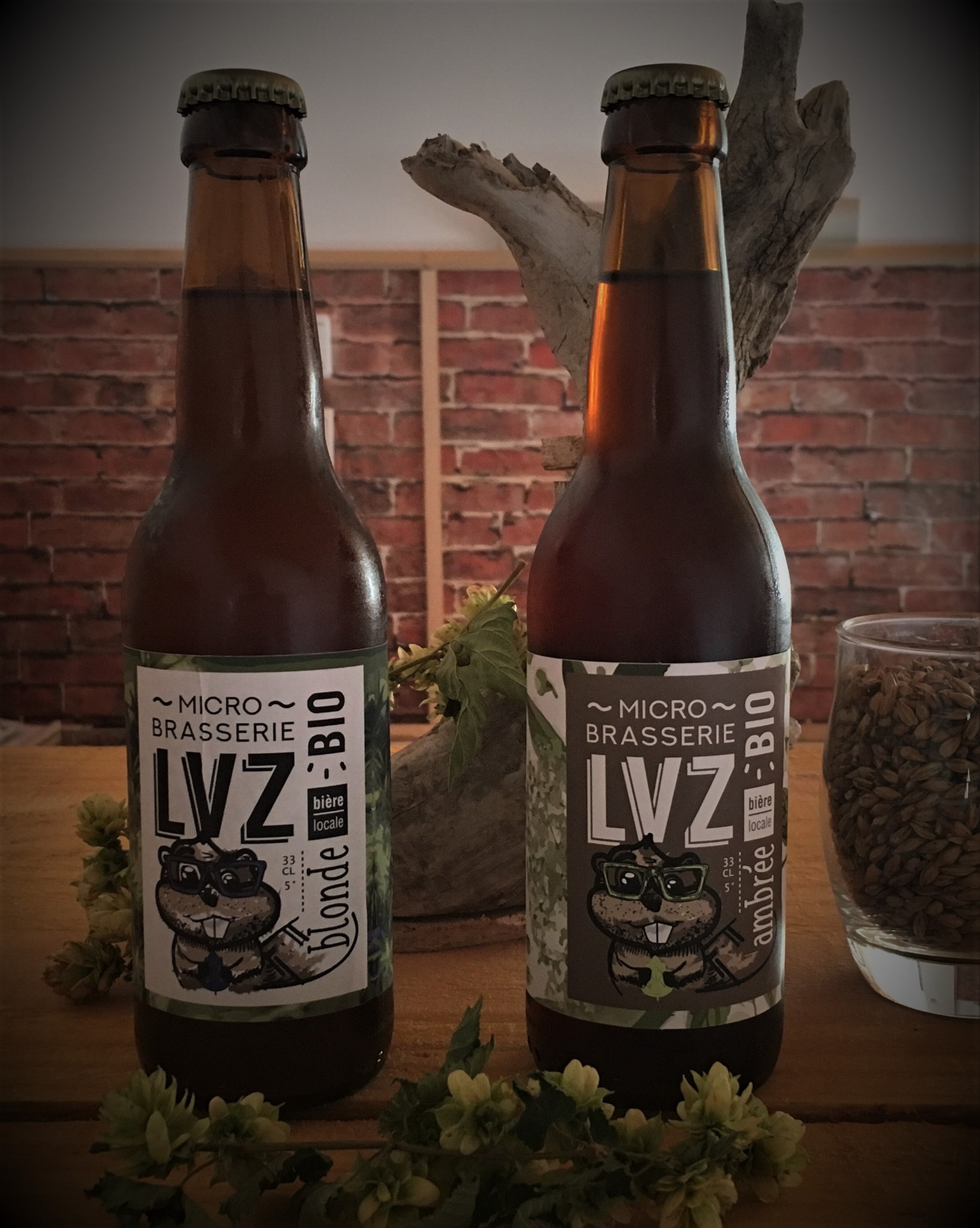 Micro brasserie LVZ Micro brasserie LVZ