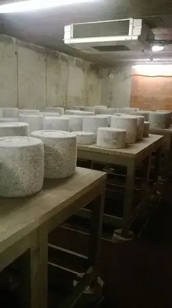GAEC du Roucadel